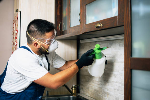 Best Commercial Pest Control Services  in Elmwood, LA
