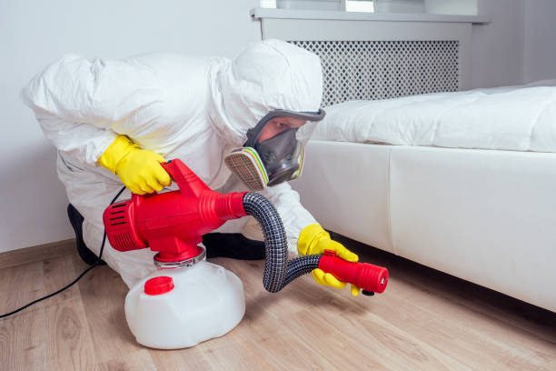Best Affordable Pest Control Services  in Elmwood, LA