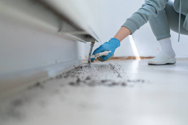 Best Pest Inspection Near Me  in Elmwood, LA